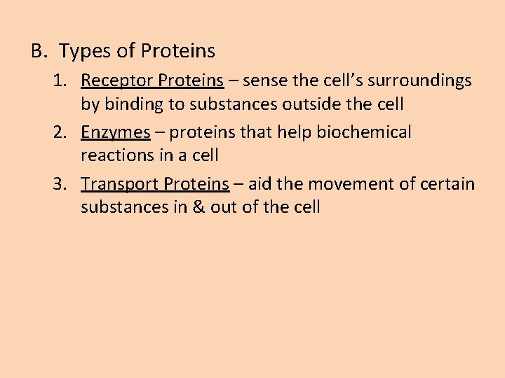 B. Types of Proteins 1. Receptor Proteins – sense the cell’s surroundings by binding