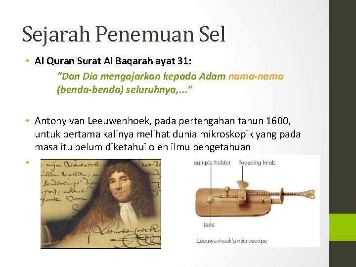 Sejarah Penemuan Sel • Al Quran Surat Al Baqarah ayat 31: “Dan Dia mengajarkan