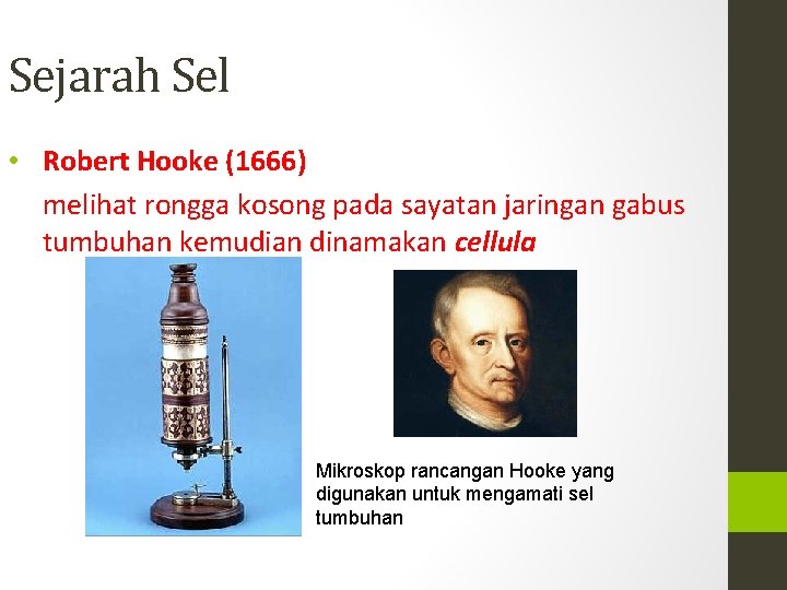 Sejarah Sel • Robert Hooke (1666) melihat rongga kosong pada sayatan jaringan gabus tumbuhan