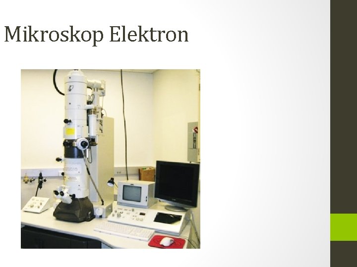 Mikroskop Elektron 