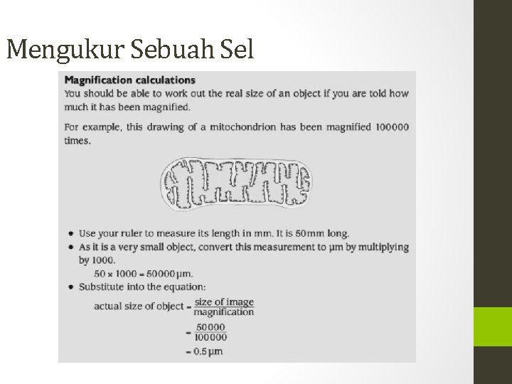 Mengukur Sebuah Sel 