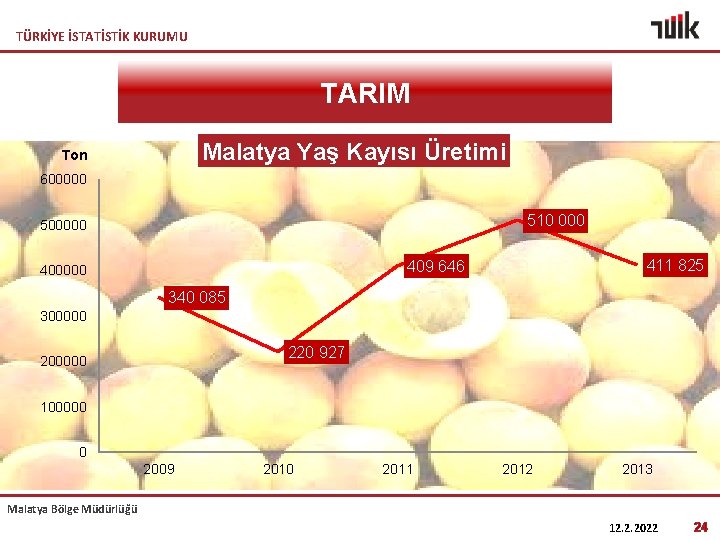 TÜRKİYE İSTATİSTİK KURUMU TARIM Malatya Yaş Kayısı Üretimi Ton 600000 510 000 500000 411