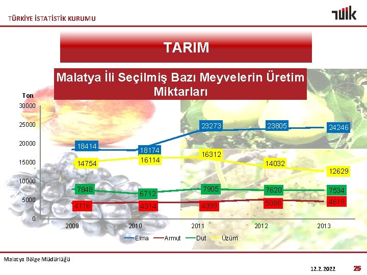 TÜRKİYE İSTATİSTİK KURUMU TARIM Ton Malatya İli Seçilmiş Bazı Meyvelerin Üretim Miktarları 30000 25000