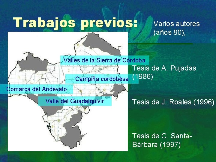 Trabajos previos: Varios autores (años 80), Valles de la Sierra de Córdoba Tesis de