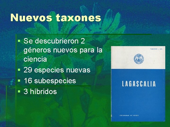 Nuevos taxones § Se descubrieron 2 géneros nuevos para la ciencia § 29 especies