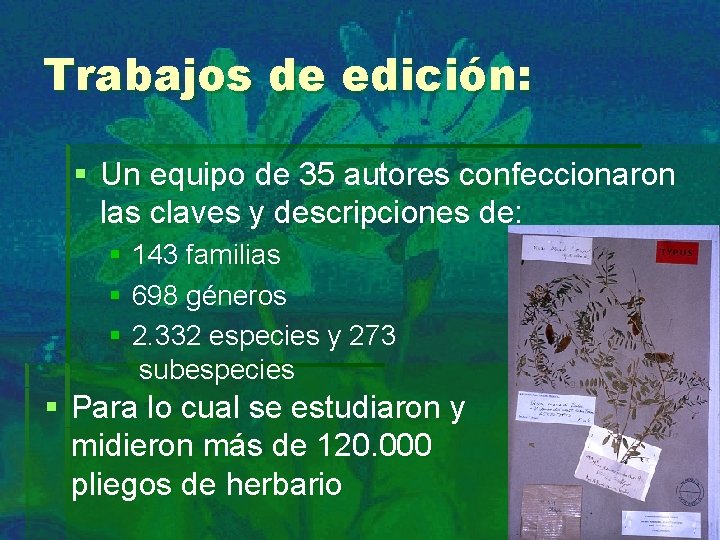 Trabajos de edición: § Un equipo de 35 autores confeccionaron las claves y descripciones