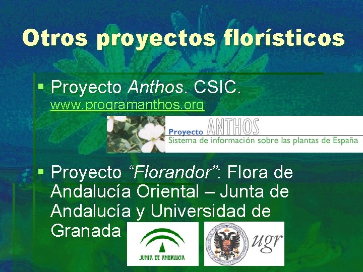 Otros proyectos florísticos § Proyecto Anthos. CSIC. www. programanthos. org § Proyecto “Florandor”: Flora