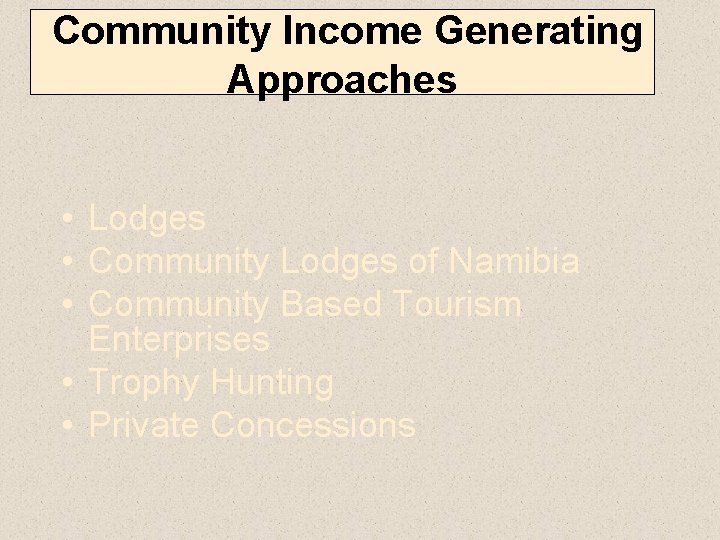 Community Income Generating Approaches • Lodges • Community Lodges of Namibia • Community Based