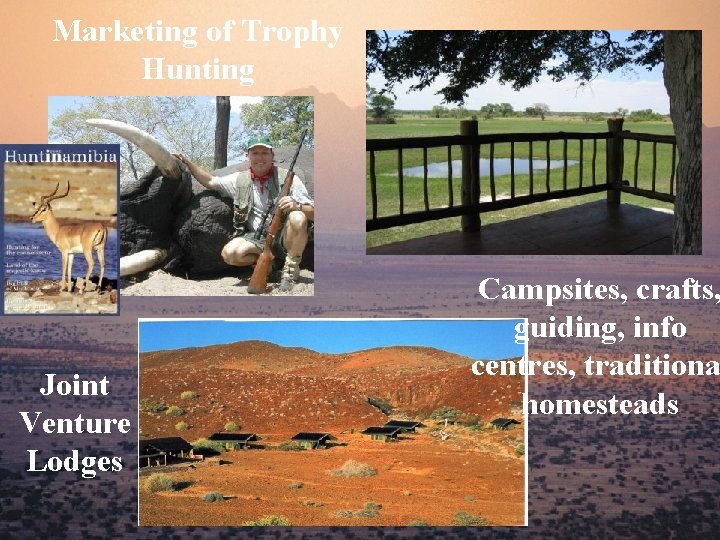 Marketing of Trophy Hunting Joint Venture Lodges Campsites, crafts, guiding, info centres, traditiona homesteads