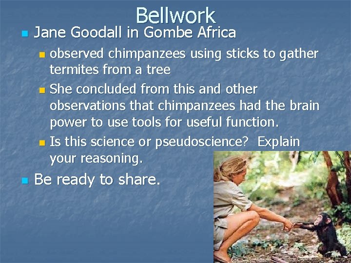 n Bellwork Jane Goodall in Gombe Africa observed chimpanzees using sticks to gather termites