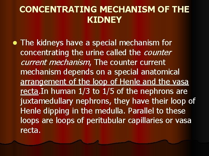 CONCENTRATING MECHANISM OF THE KIDNEY l The kidneys have a special mechanism for concentrating