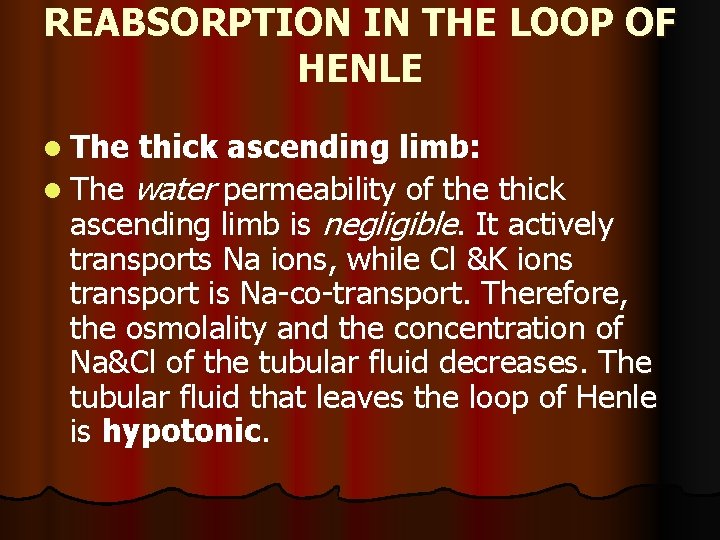 REABSORPTION IN THE LOOP OF HENLE l The thick ascending limb: l The water