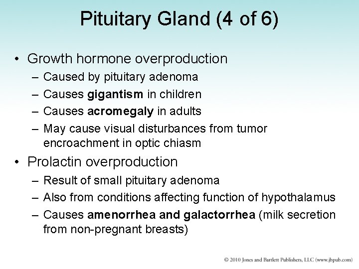 Pituitary Gland (4 of 6) • Growth hormone overproduction – – Caused by pituitary
