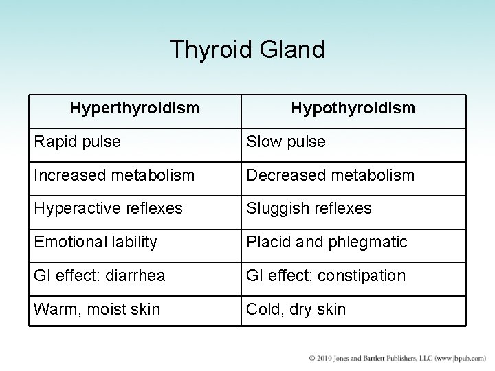 Thyroid Gland Hyperthyroidism Hypothyroidism Rapid pulse Slow pulse Increased metabolism Decreased metabolism Hyperactive reflexes
