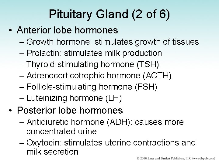 Pituitary Gland (2 of 6) • Anterior lobe hormones – Growth hormone: stimulates growth