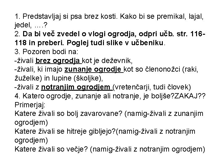 1. Predstavljaj si psa brez kosti. Kako bi se premikal, lajal, jedel, …. ?