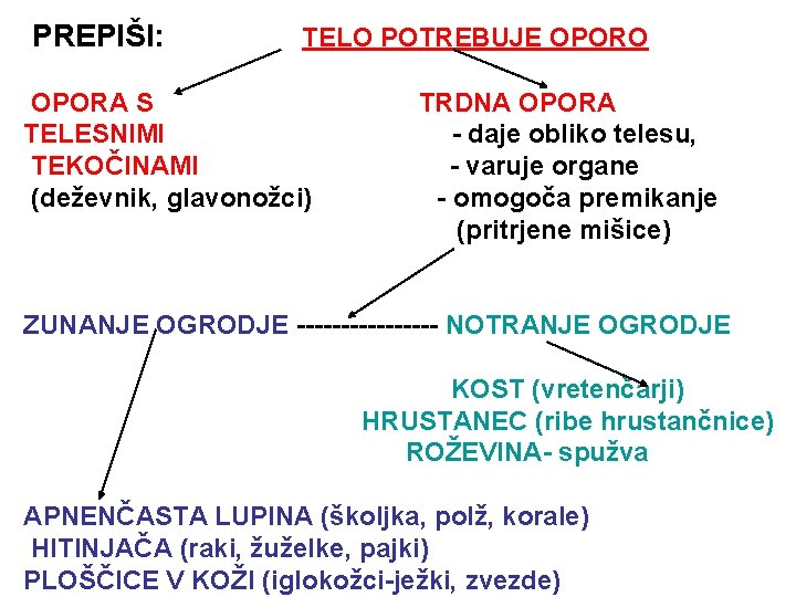 PREPIŠI: TELO POTREBUJE OPORO OPORA S TELESNIMI TEKOČINAMI (deževnik, glavonožci) TRDNA OPORA - daje