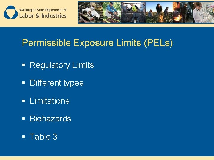 Permissible Exposure Limits (PELs) § Regulatory Limits § Different types § Limitations § Biohazards