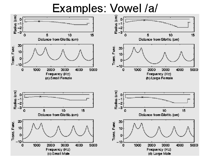 Examples: Vowel /a/ 