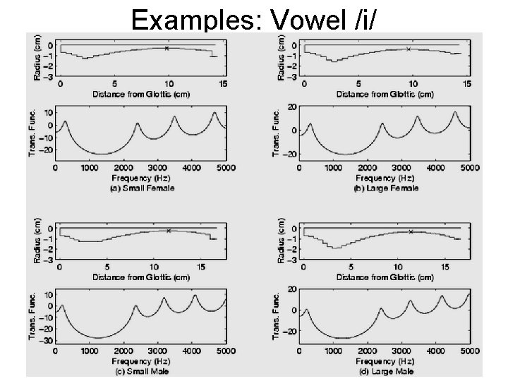 Examples: Vowel /i/ 