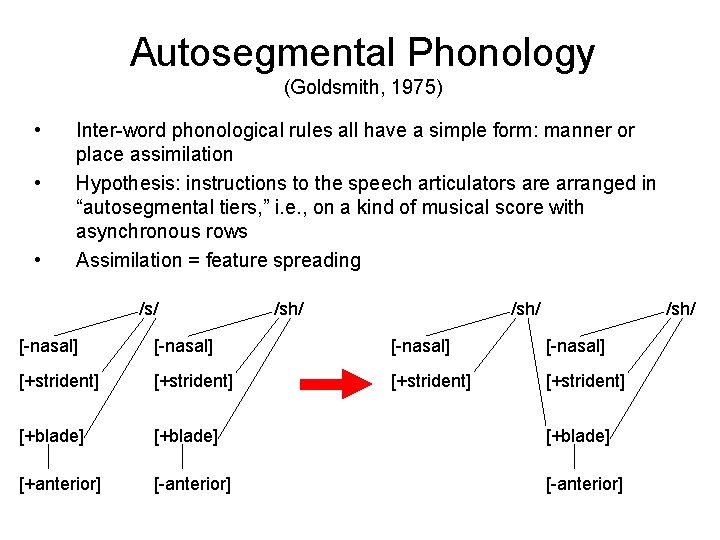 Autosegmental Phonology (Goldsmith, 1975) • • • Inter-word phonological rules all have a simple