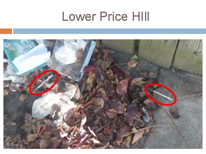 Lower Price HIll 