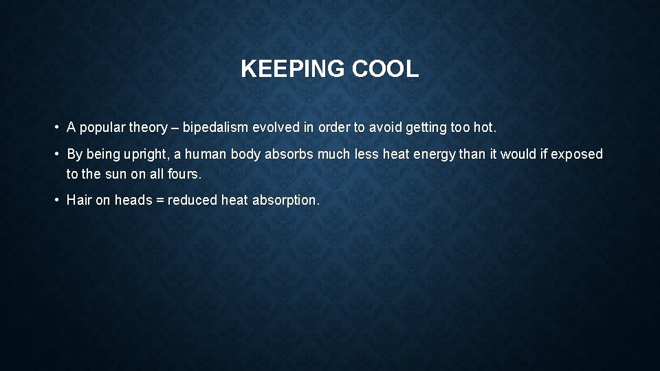 KEEPING COOL • A popular theory – bipedalism evolved in order to avoid getting