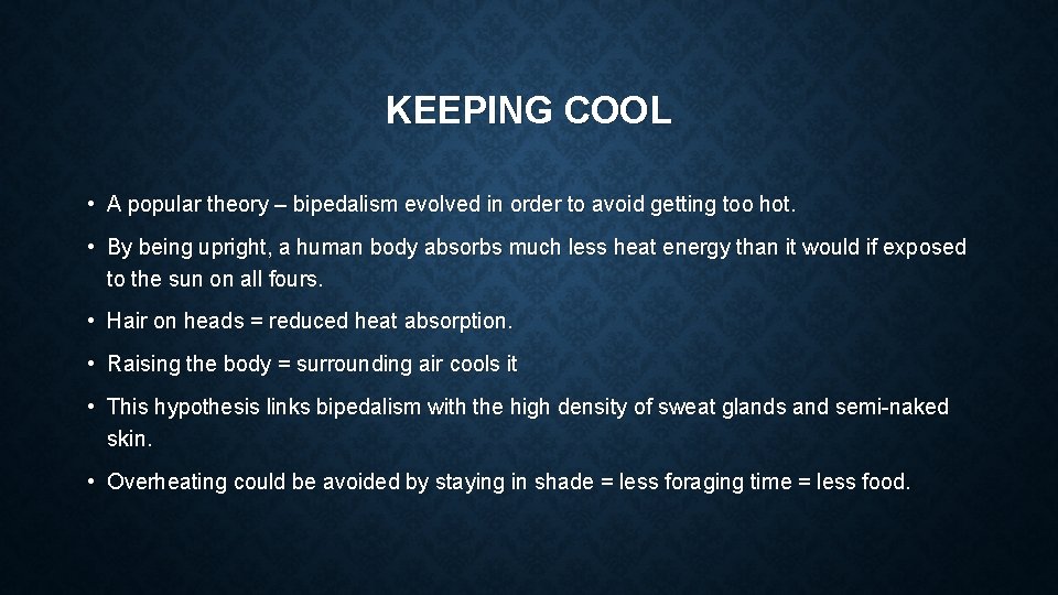KEEPING COOL • A popular theory – bipedalism evolved in order to avoid getting