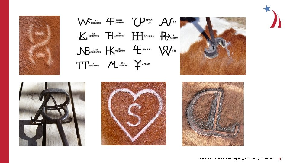 Copyright © Texas Education Agency, 2017. All rights reserved. 8 