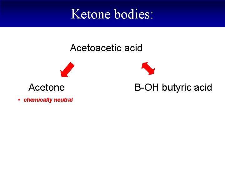 Ketone bodies: Acetoacetic acid Acetone § chemically neutral B-OH butyric acid 