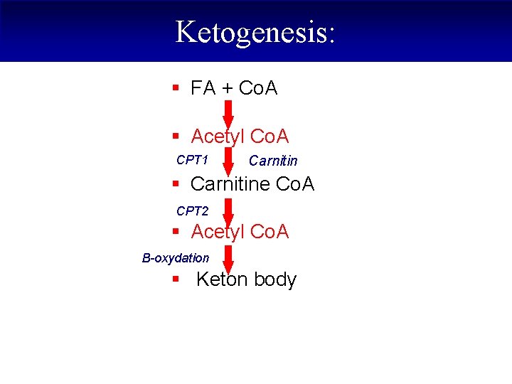 Ketogenesis: § FA + Co. A § Acetyl Co. A CPT 1 Carnitin §