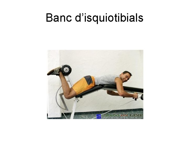Banc d’isquiotibials 