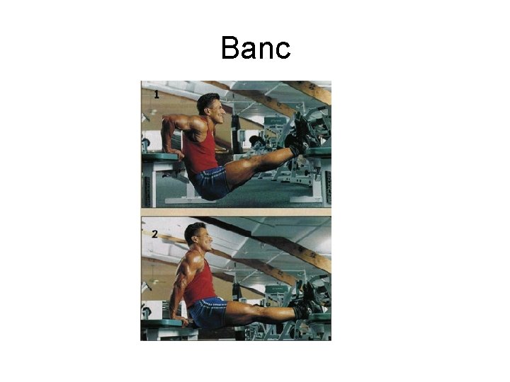 Banc 