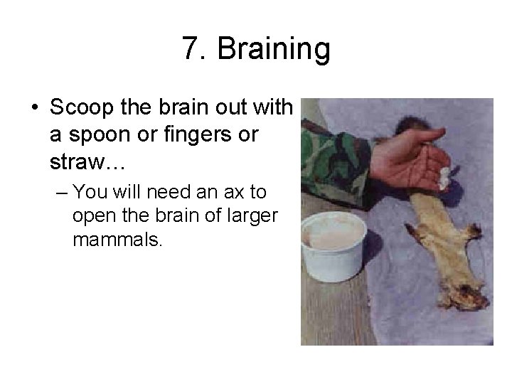 7. Braining • Scoop the brain out with a spoon or fingers or straw…