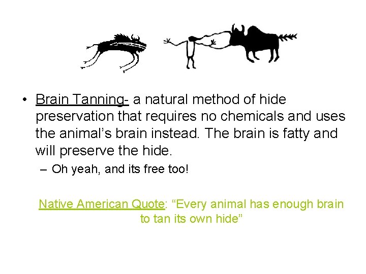  • Brain Tanning- a natural method of hide preservation that requires no chemicals