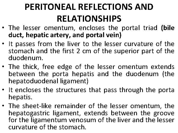 PERITONEAL REFLECTIONS AND RELATIONSHIPS • The lesser omentum, encloses the portal triad (bile duct,