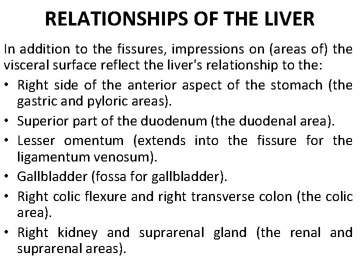 RELATIONSHIPS OF THE LIVER In addition to the fissures, impressions on (areas of) the