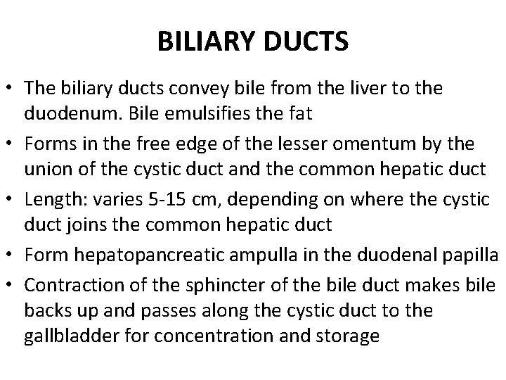 BILIARY DUCTS • The biliary ducts convey bile from the liver to the duodenum.