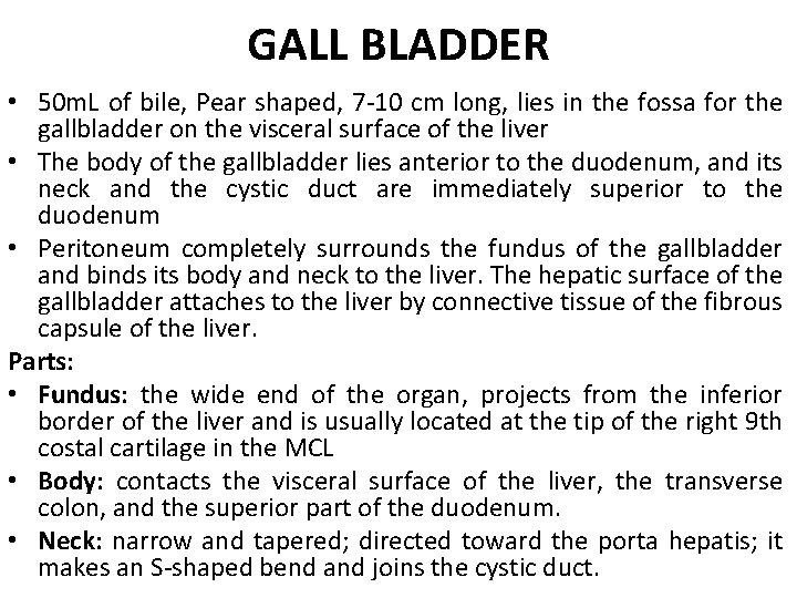 GALL BLADDER • 50 m. L of bile, Pear shaped, 7 -10 cm long,