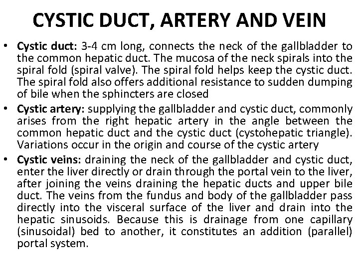 CYSTIC DUCT, ARTERY AND VEIN • Cystic duct: 3 -4 cm long, connects the