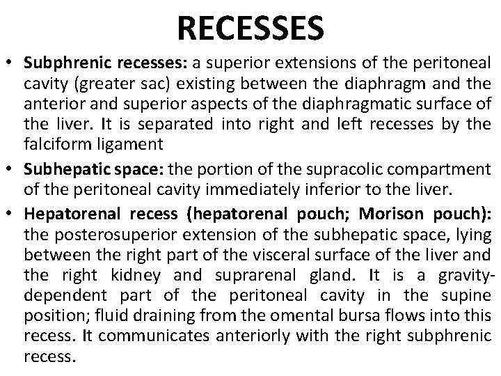 RECESSES • Subphrenic recesses: a superior extensions of the peritoneal cavity (greater sac) existing