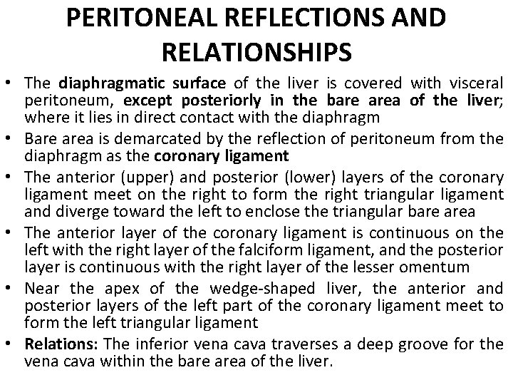 PERITONEAL REFLECTIONS AND RELATIONSHIPS • The diaphragmatic surface of the liver is covered with