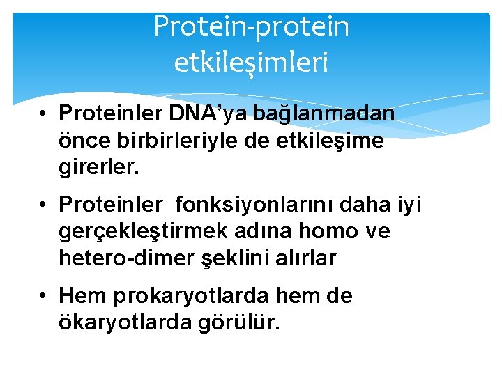 Protein-protein etkileşimleri • Proteinler DNA’ya bağlanmadan önce birbirleriyle de etkileşime girerler. • Proteinler fonksiyonlarını