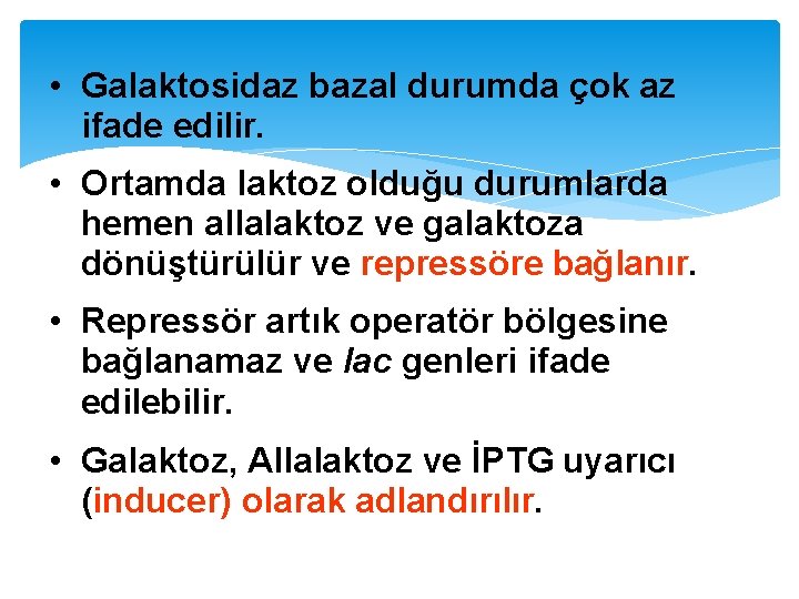  • Galaktosidaz bazal durumda çok az ifade edilir. • Ortamda laktoz olduğu durumlarda