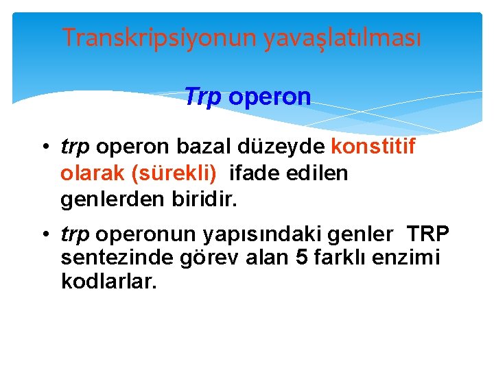 Transkripsiyonun yavaşlatılması Trp operon • trp operon bazal düzeyde konstitif olarak (sürekli) ifade edilen