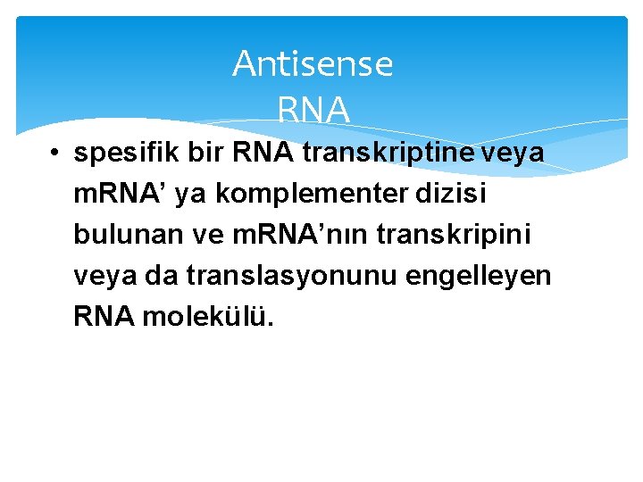 Antisense RNA • spesifik bir RNA transkriptine veya m. RNA’ ya komplementer dizisi bulunan