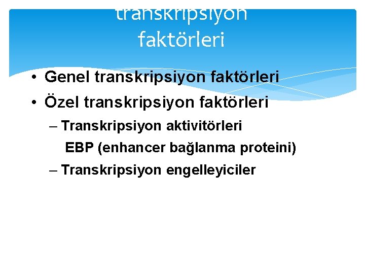 transkripsiyon faktörleri • Genel transkripsiyon faktörleri • Özel transkripsiyon faktörleri – Transkripsiyon aktivitörleri EBP