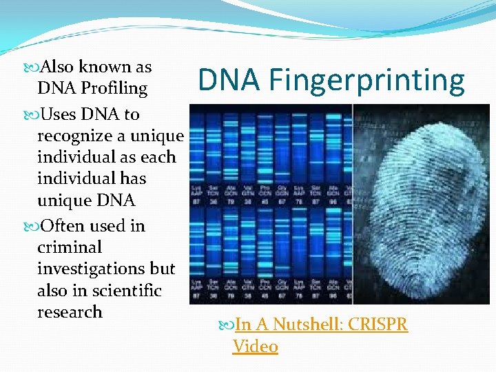  Also known as DNA Profiling Uses DNA to recognize a unique individual as