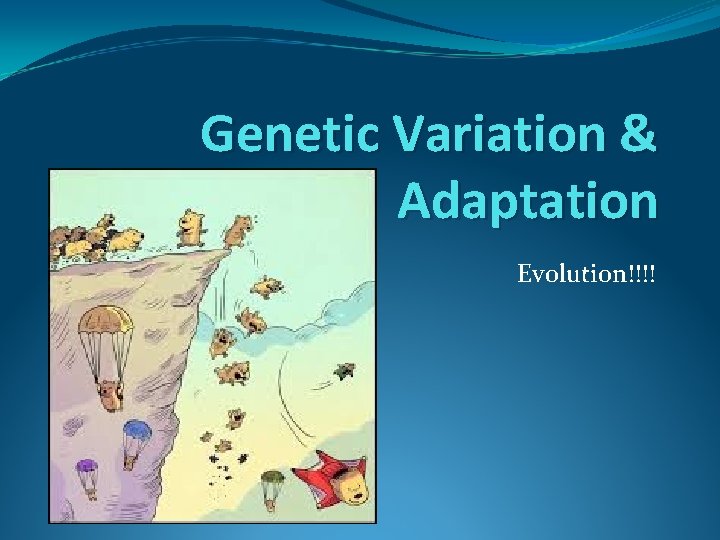 Genetic Variation & Adaptation Evolution!!!! 