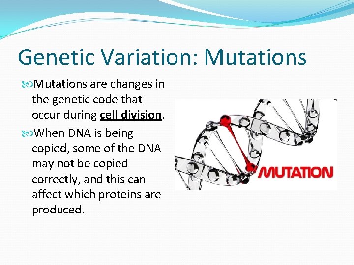 Genetic Variation: Mutations are changes in the genetic code that occur during cell division.